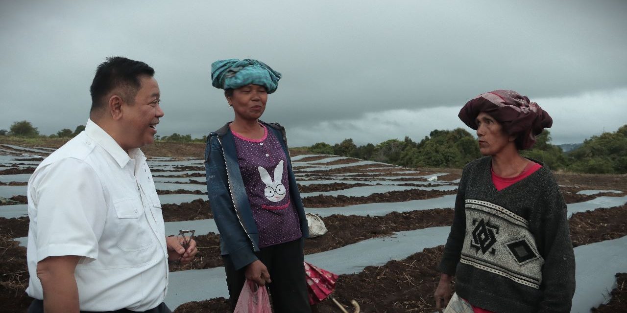 Pemkab Dairi akan Luncurkan Program Kawasan Pertanian Terpadu