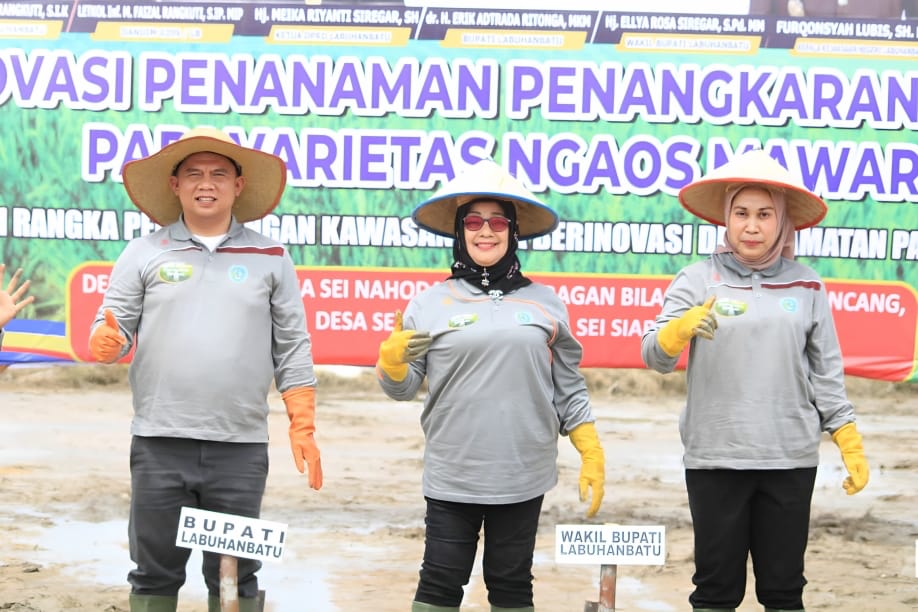 Krisis Pangan Masalah Dunia, Pemkab Labuhanbatu Rencanakan Pembangunan Desa Inovatif Swasembada Pangan