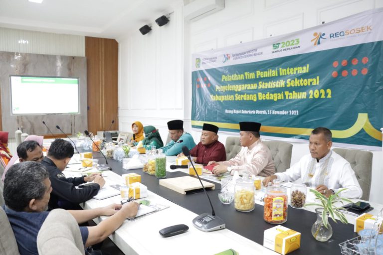 Pelatihan Tim Penilai Internal Penyelenggaraan Statistik Sektoral Kabupaten Sergai Tahun 2022