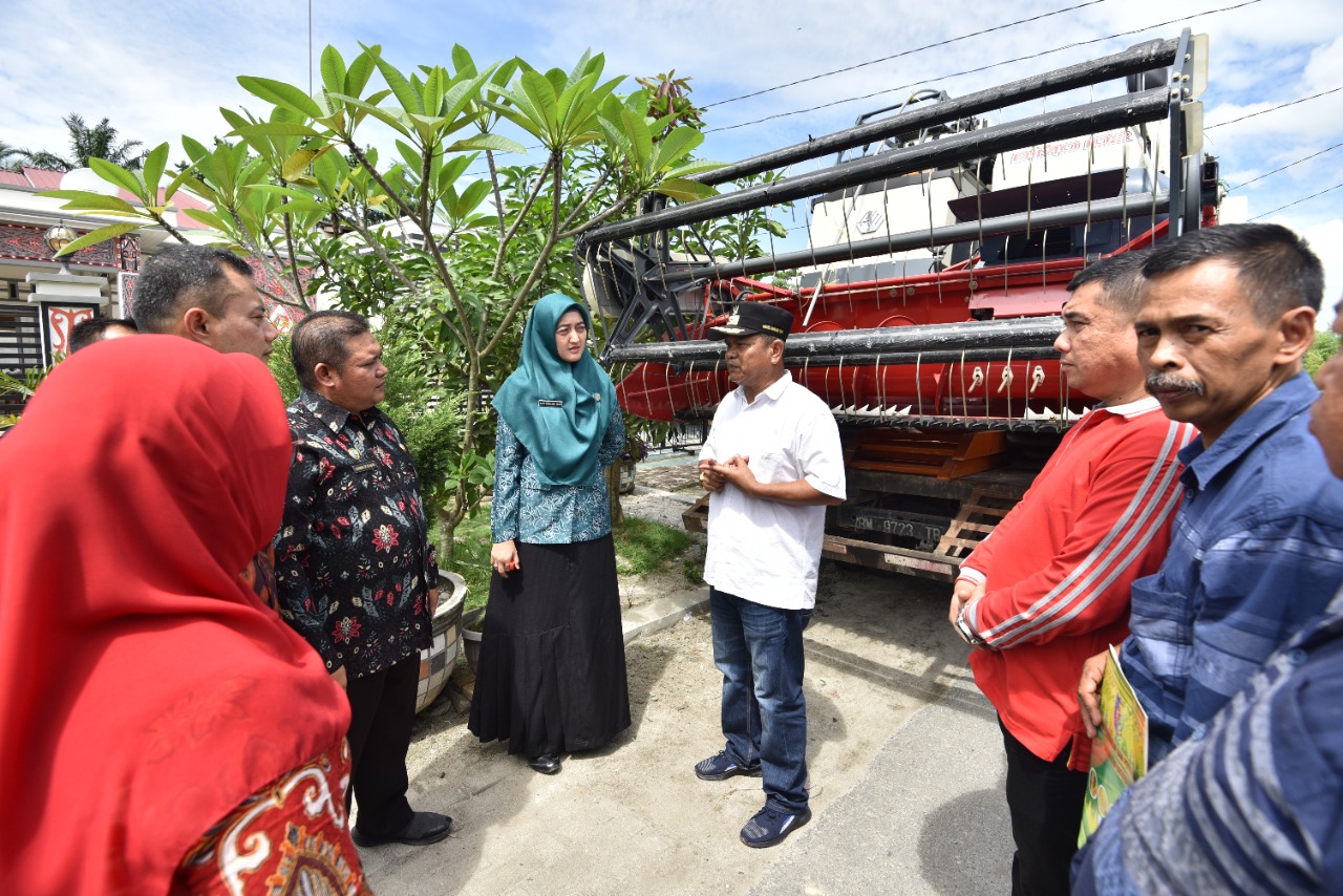 Pemkab Batubara Serahkan Bantuan Benih Sayuran
