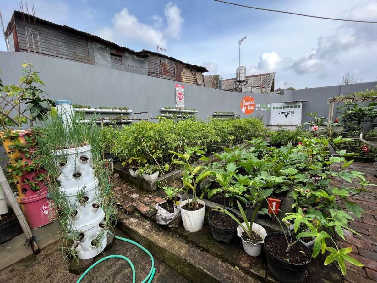 Warga Pensiunan RW 08 Kelurahan Pasirkaliki Panen Cengek