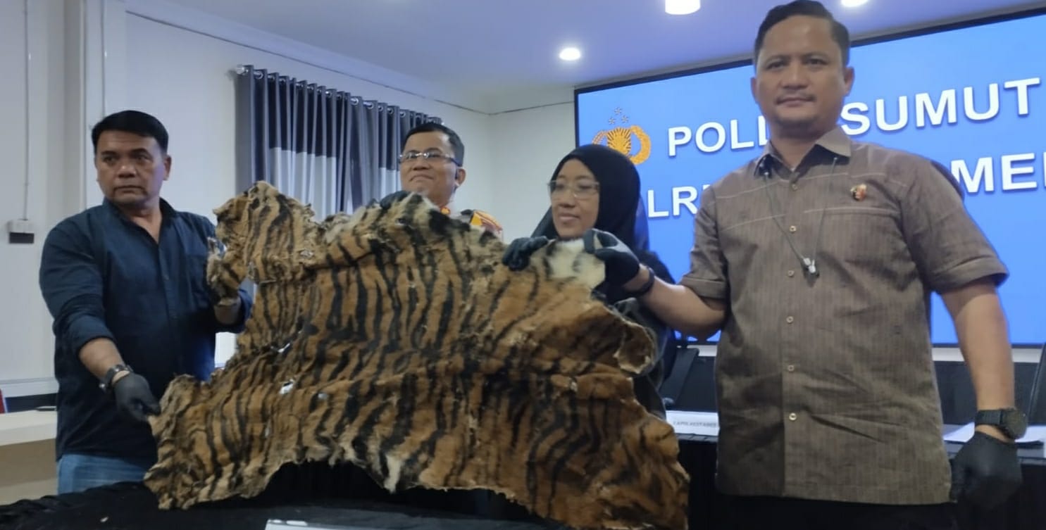 Dua Pelaku Perdagangan Kulit Harimau Diringkus Polrestabes Medan