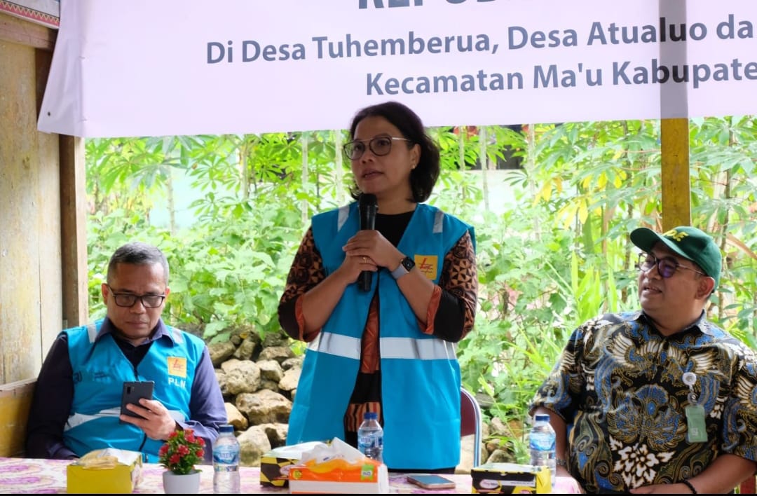 PLN Bersama Kementerian Keuangan Tinjau Lokasi Listrik Desa di Kepulauan Nias