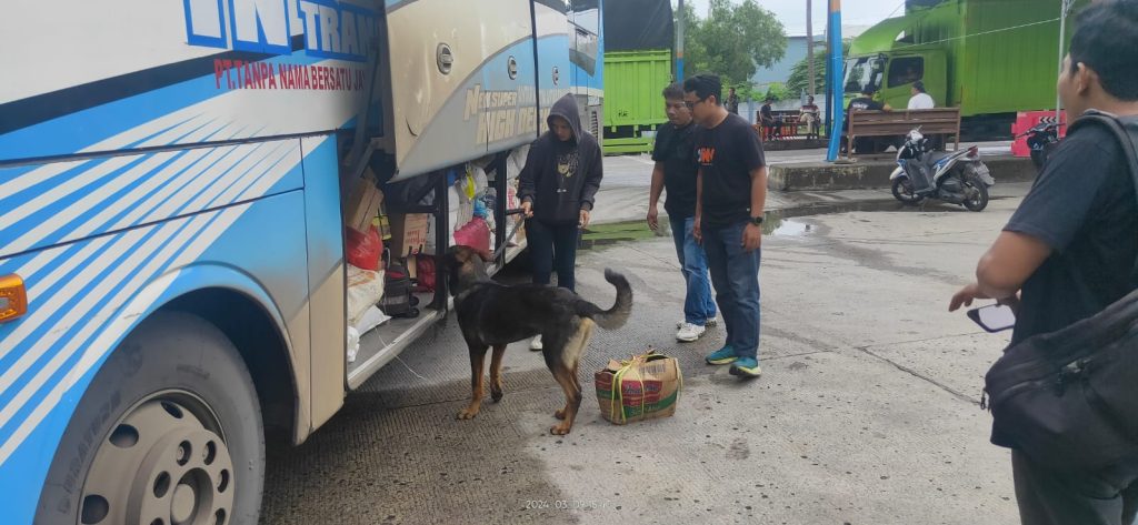 Enam Anjing K9 Bantu Lacak Peredaran Narkoba di Pelabuhan Bakauheni