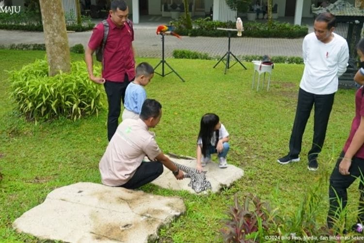 Presiden Jokowi Ajak Cucunya Mengenal Satwa di The Hill Hotel and Resort