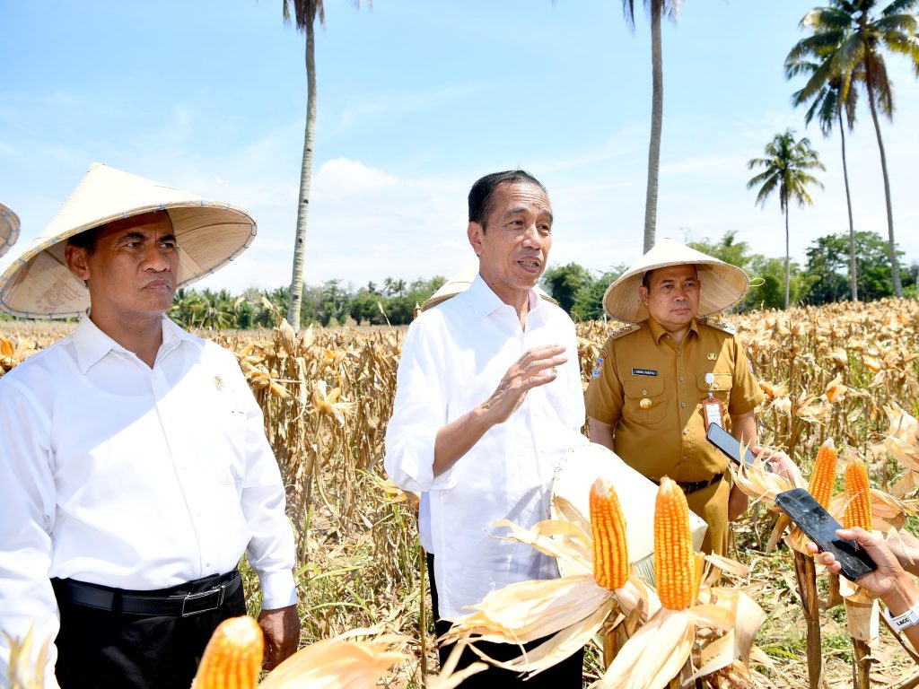 Presiden Dorong Peningkatan Produksi dan Kesejahteraan Petani