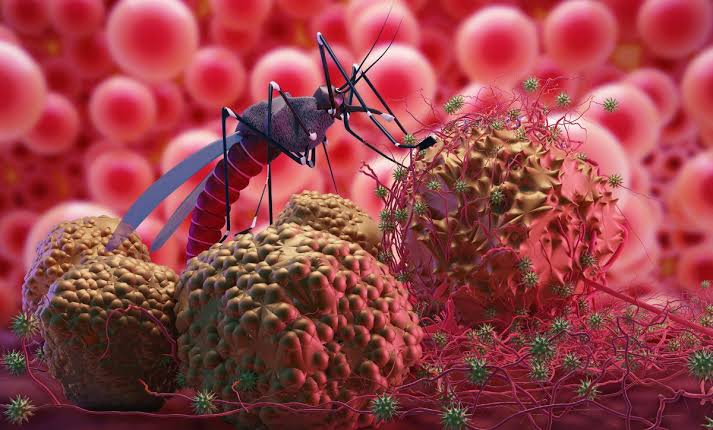 Pulau Simuk dan Pulau Tello KLB Malaria