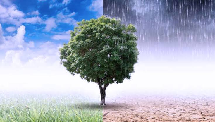 Sumut Alami Pancaroba Musim Kemarau ke Hujan