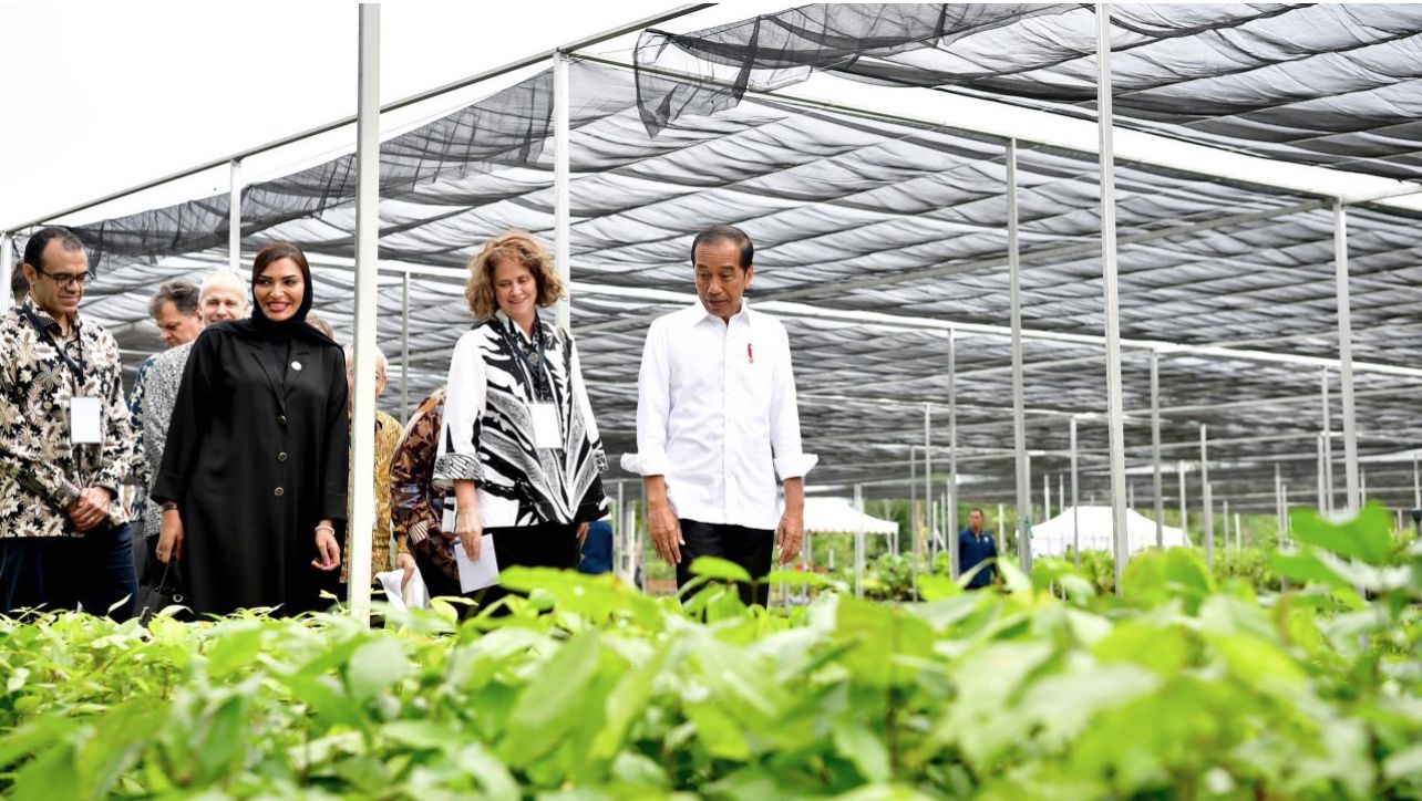 Kesan dan Apresiasi Para Duta Besar Terhadap Persemaian Mentawir