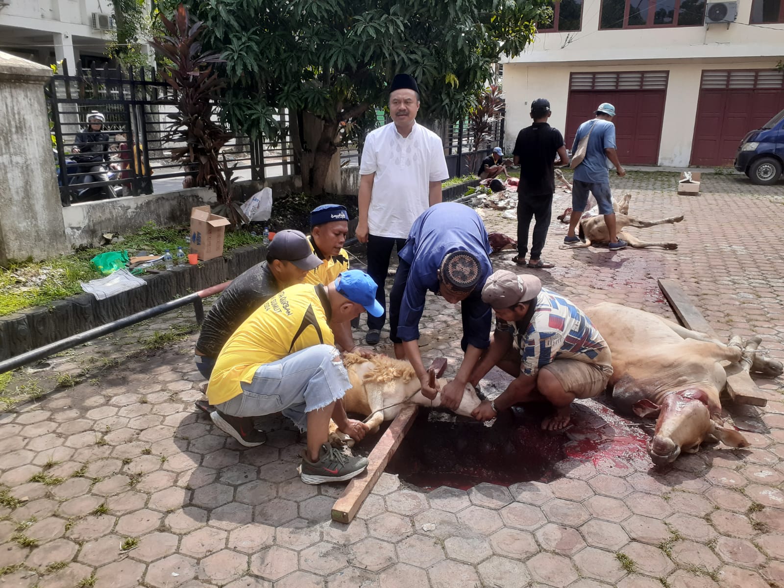 Idul Adha, PWI Sumut Sembelih Delapan Hewan Kurban