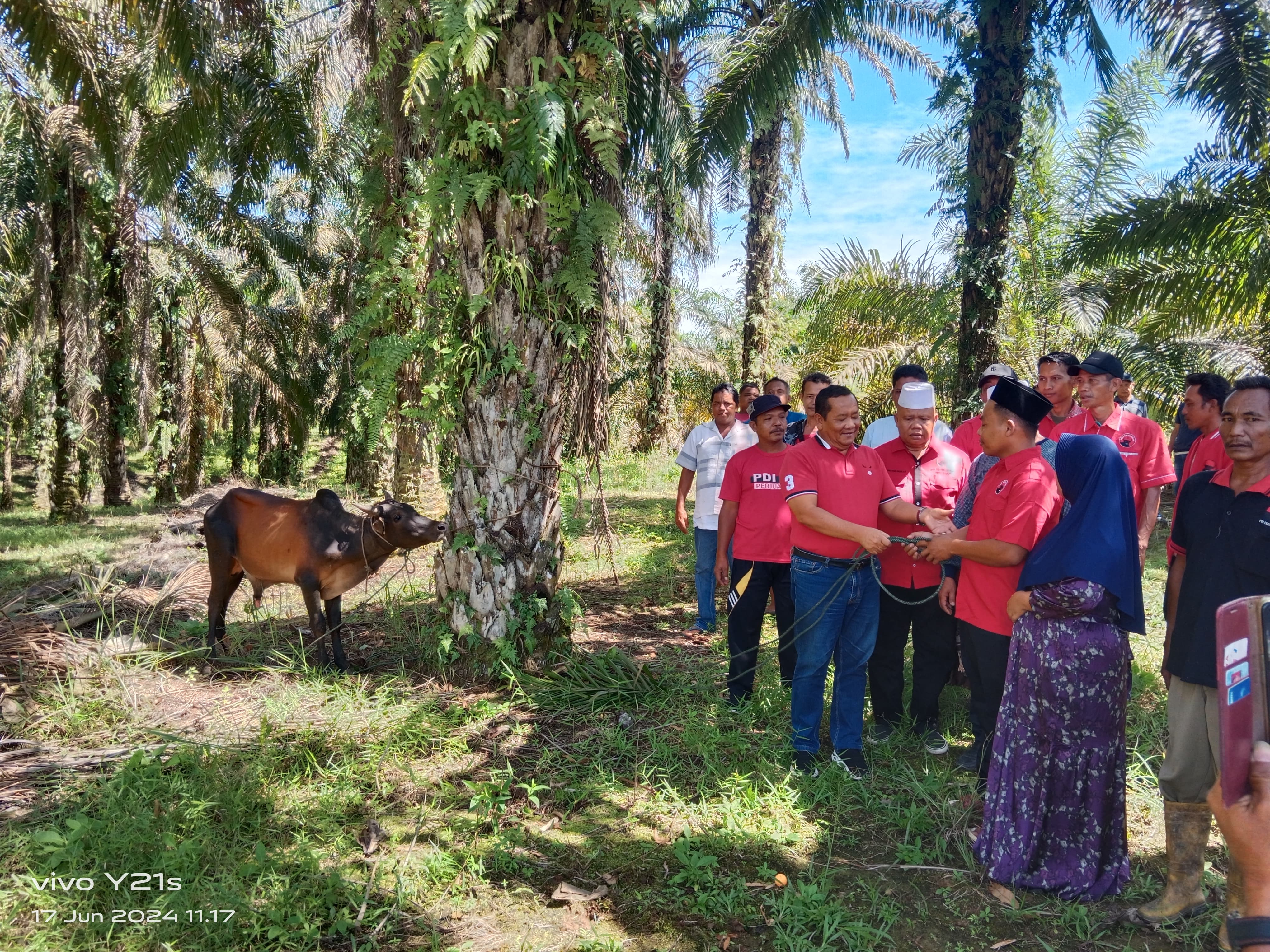 PDIP Sumut Laksanakan Kurban Diberbagai Tempat