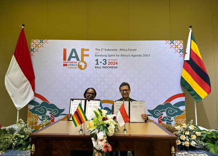 Kemenkes RI Kerja Sama Kesehatan dengan Sudan dan Zimbabwe