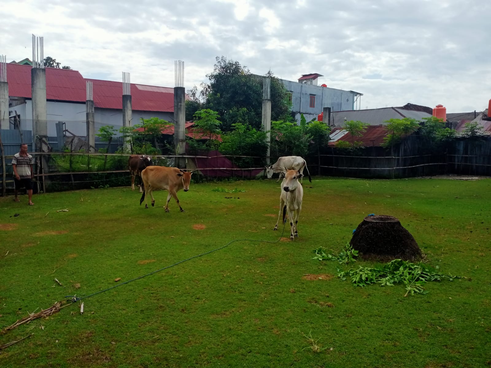 Kementan Perkuat Langkah Pengendalian Wabah SE di Bengkulu