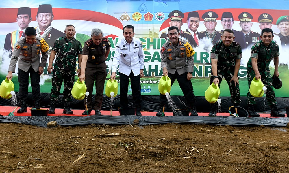 Pj Gubernur Sumut Dorong Pemanfaatan Lahan Kosong untuk Kemandirian Pangan
