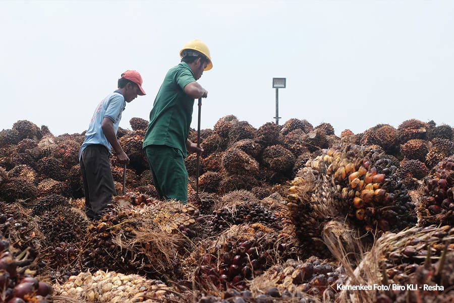 Industri Kelapa Sawit Indonesia Tunjukkan Kemajuan, Ekspor Produk Hilir Meningkat