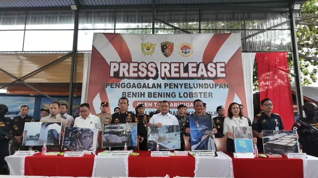 Penyelundupan Lobster Rp15,1 M Digagalkan di Perairan Bintan