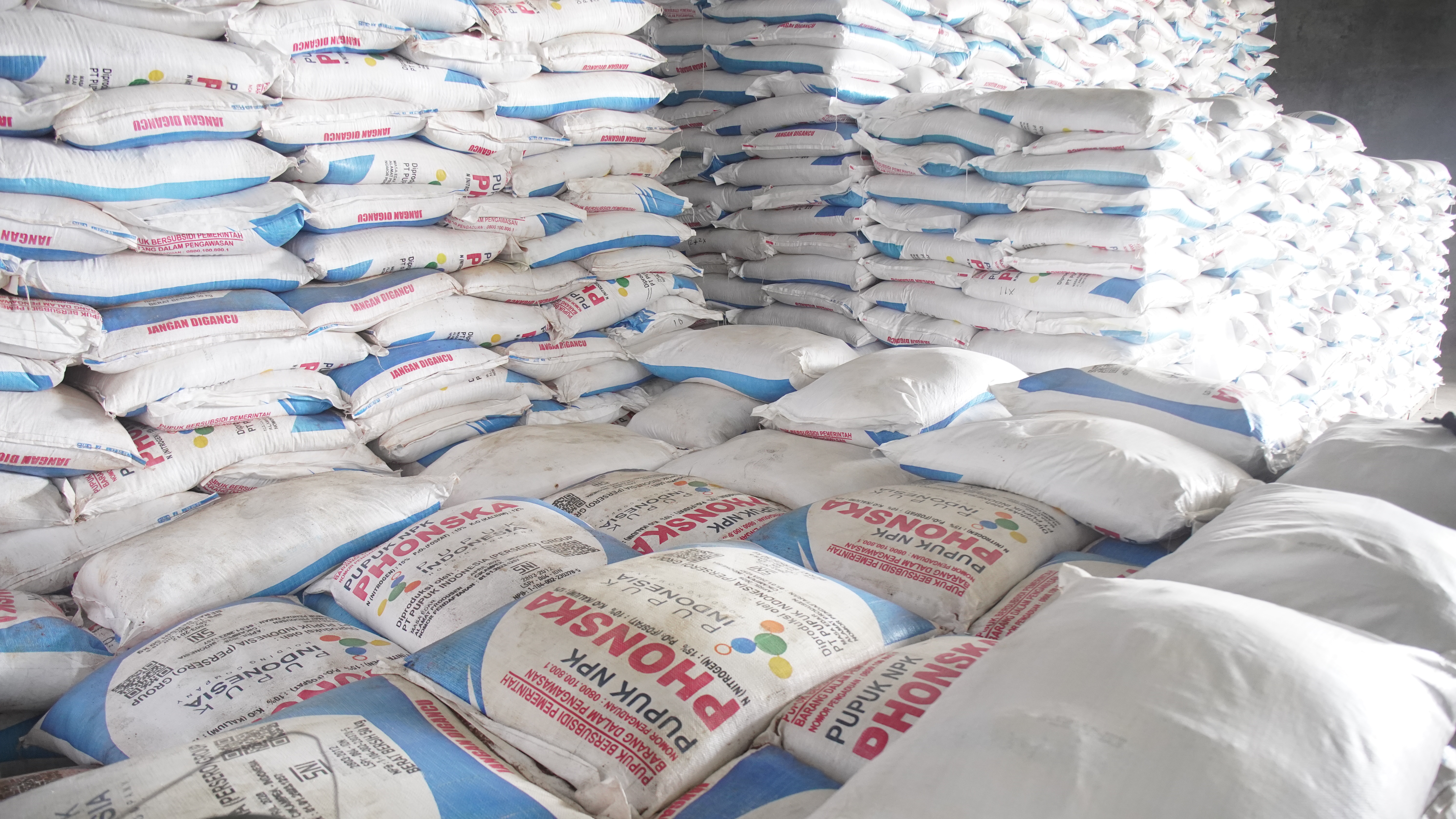 Sejarah Baru: Pupuk Bersubsidi Disalurkan Tepat Waktu pada 1 Januari 2025