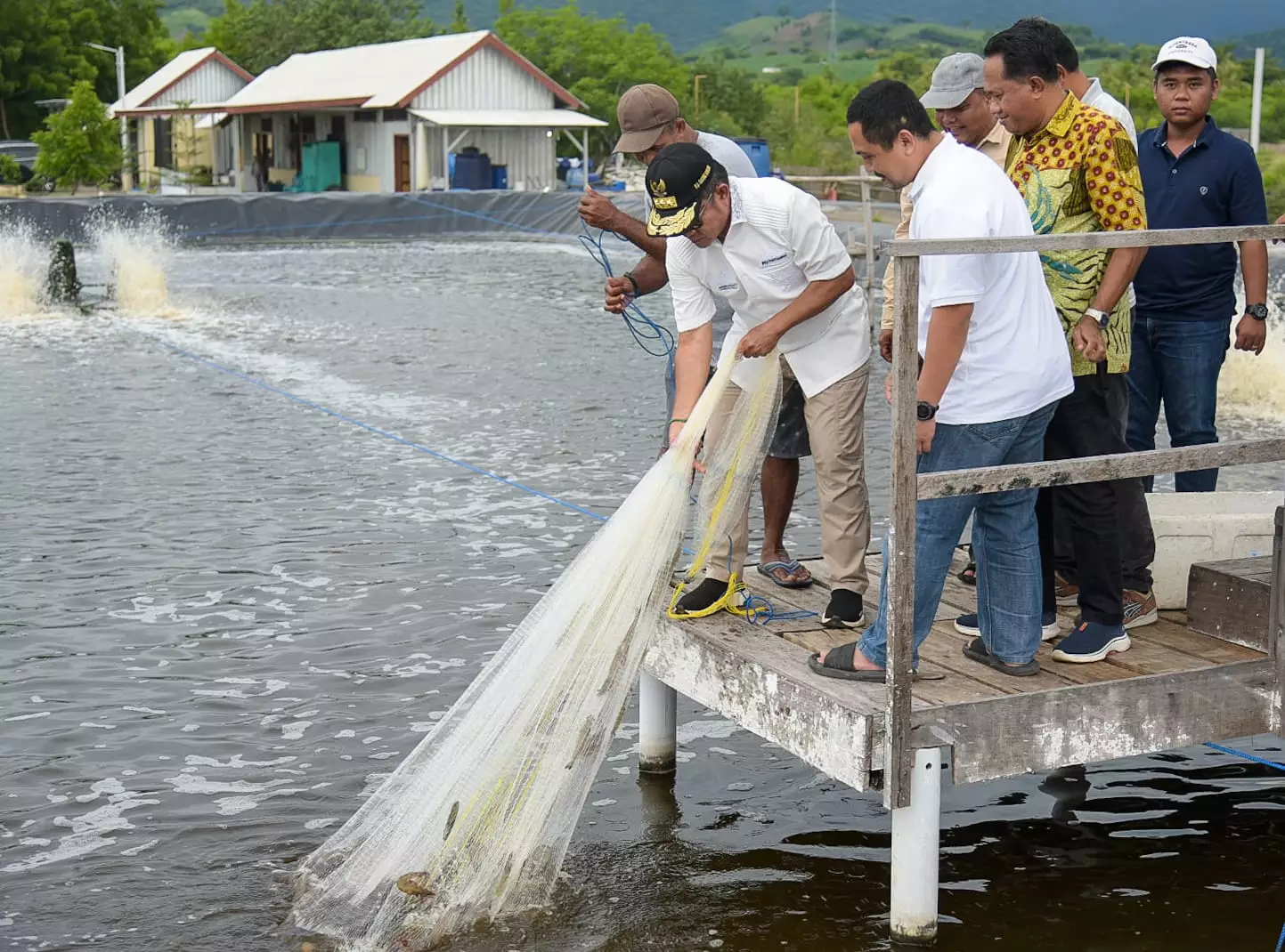 Pj Gubernur NTB Panen Udang di Sumbawa: Dorong Kedaulatan Pangan