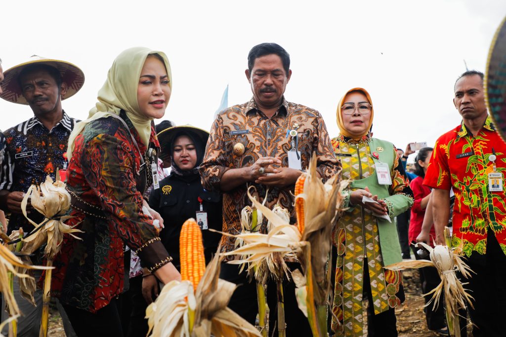 Grobogan Raih Panen Raya Jagung, Nana Sudjana Dukung Swasembada Pangan