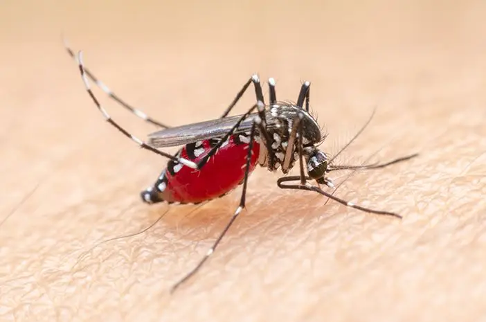 Nias Selatan Perpanjang Status KLB Malaria dan DBD