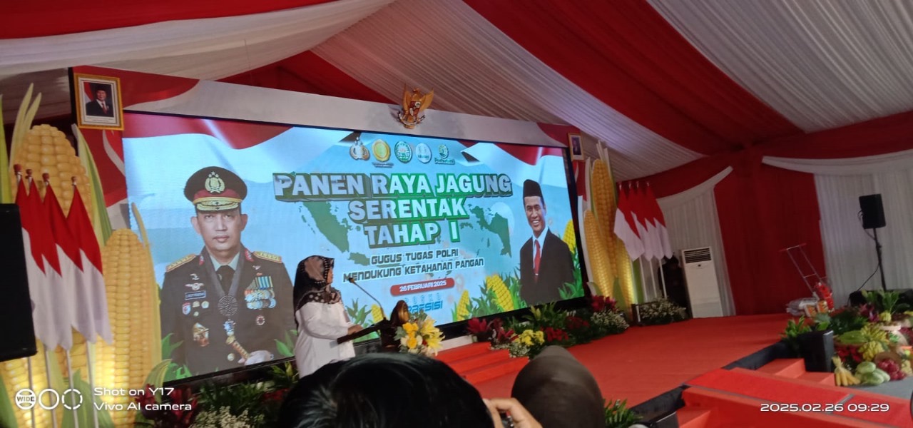 Dukung Ketahanan Pangan, Polri dan Kementan Gelar Panen Jagung Serentak di Madiun