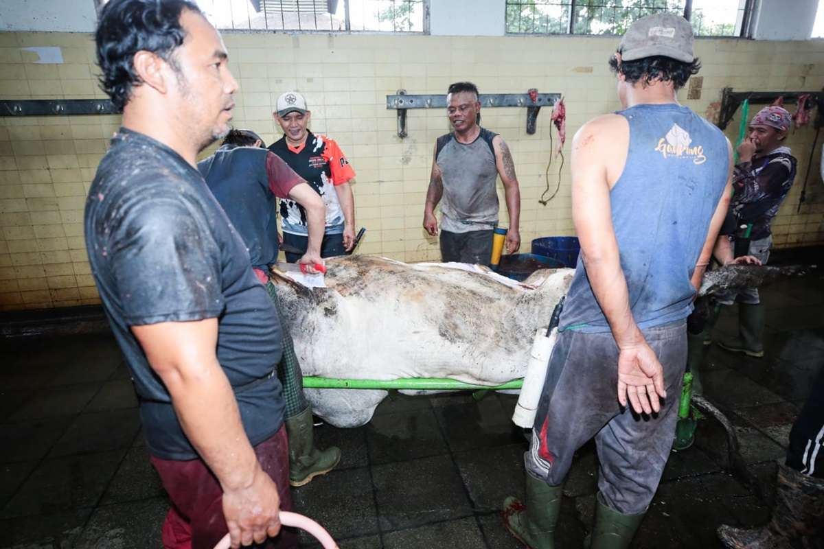 Wali Kota Bandung Kunjungi RPH Ciroyom, Pastikan Pasokan Daging Aman