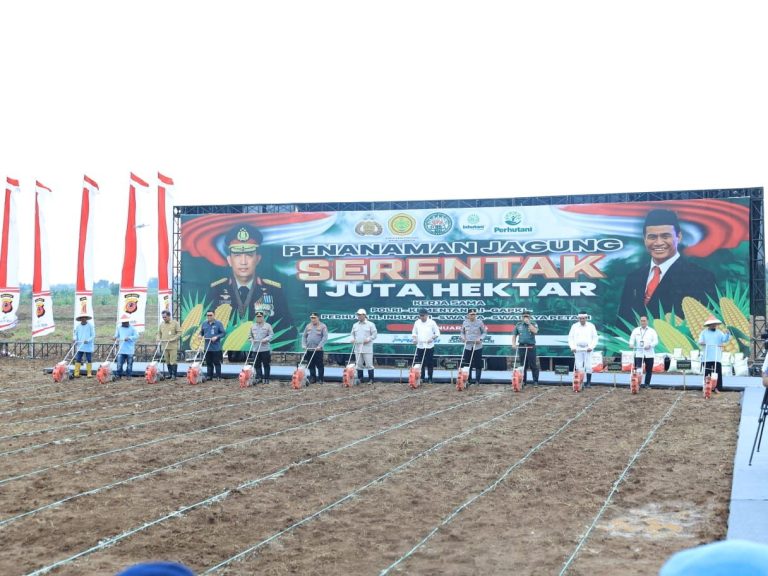 Swasembada Jagung 2025, Kementan dan Polri Targetkan Tambahan Produksi 4 Juta Ton