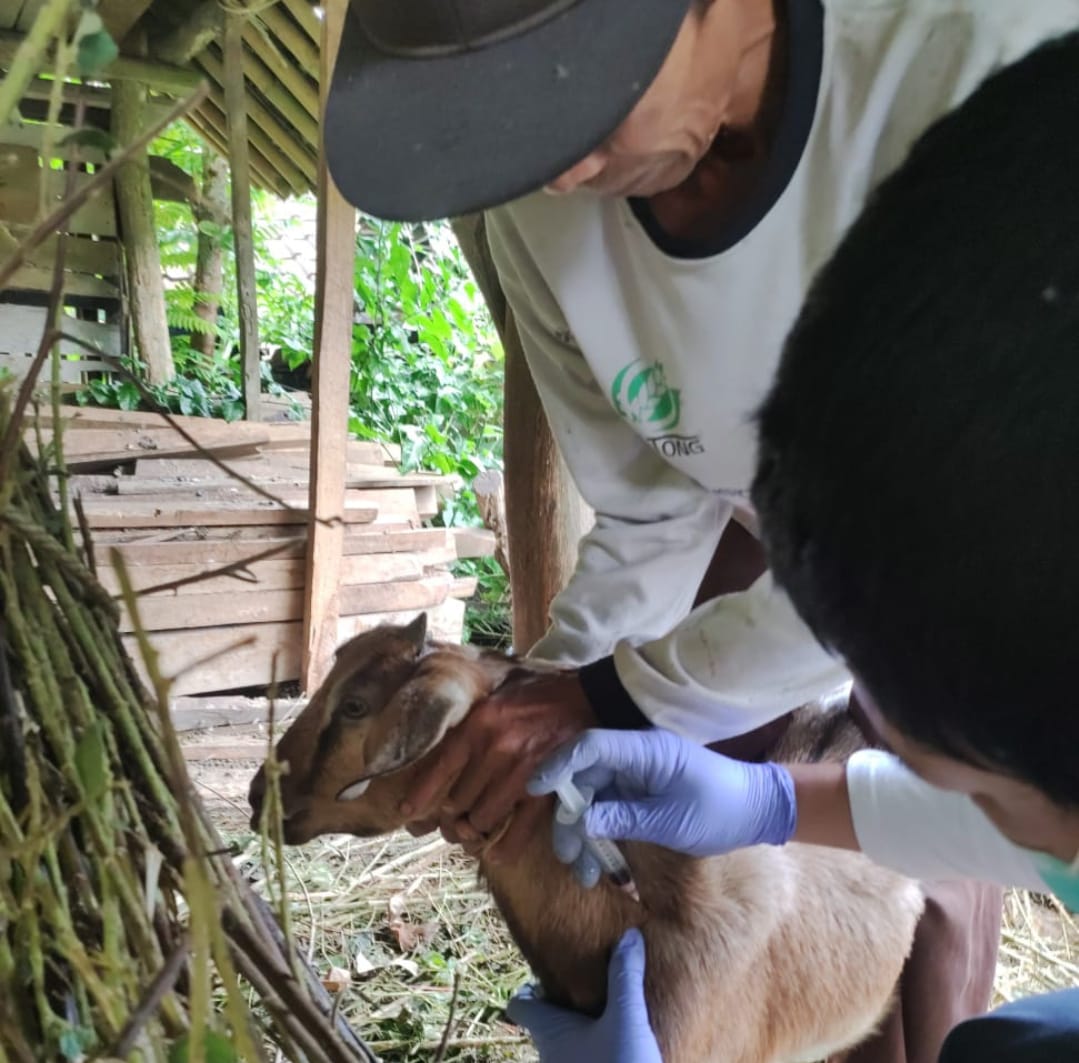 Kementan Gerak Cepat Tangani Wabah Antraks di Gunung Kidul
