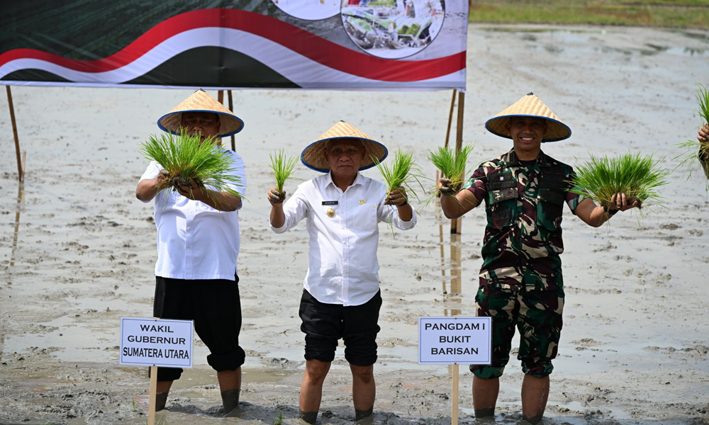 Pemprov Sumut Dukung Swasembada Pangan Lewat Gerakan Tanam Padi Serentak