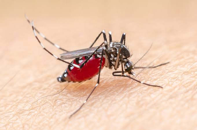 Dinkes Sumut Beberkan Tantangan Penanganan Malaria di Wilayah Kepulauan Nisel
