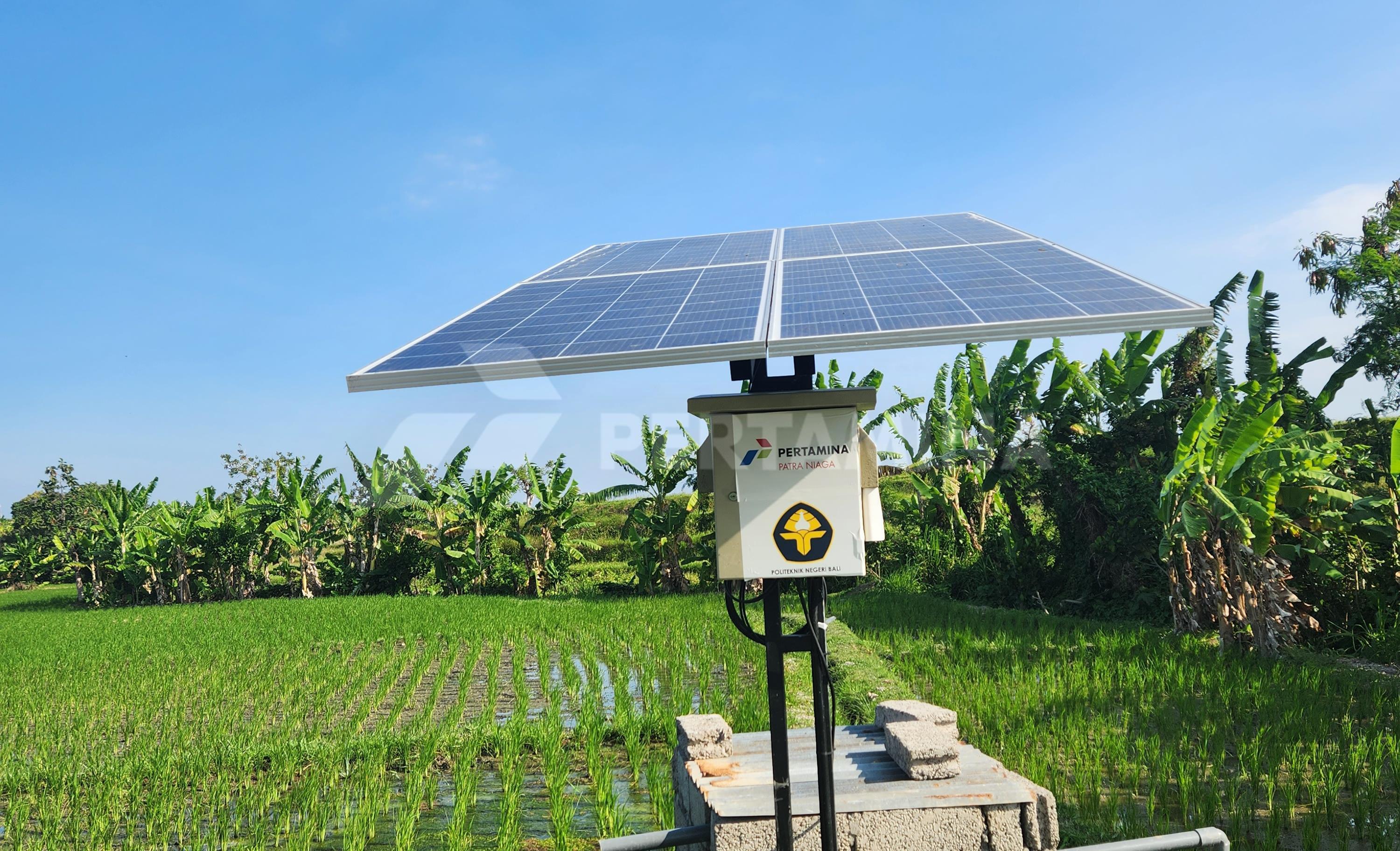 Pertamina Dukung Kesejahteraan 408 Petani di Desa Uma Palak Melalui Pengembangan Energi Transisi