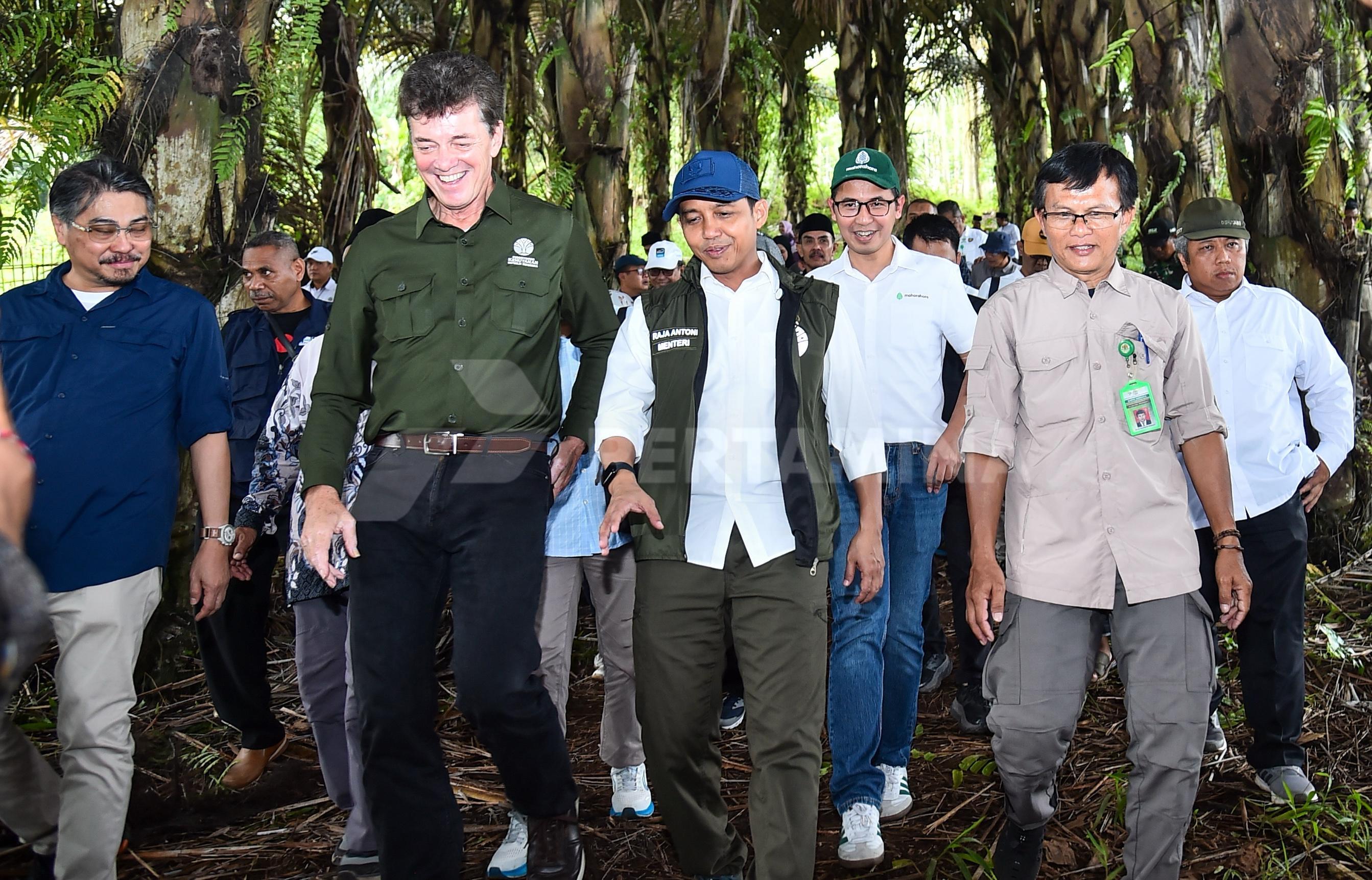 Mengembangkan Bioetanol Indonesia: Menteri Kehutanan dan Pertamina NRE Pacu Program Aren Nasional