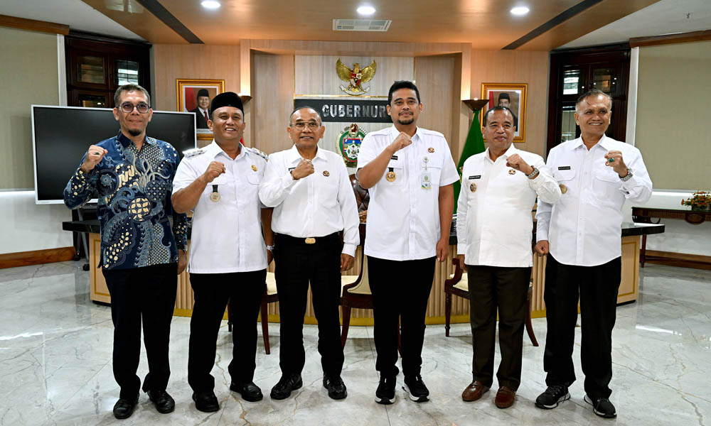 Penanganan Masif Hama Lalat Buah, Upaya Bobby Nasution Pulihkan Kejayaan Jeruk Karo