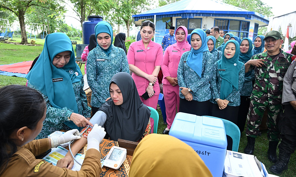 Wakil Ketua TP Posyandu Sumut Kunjungi Posyandu di Labusel, Ajak Masyarakat Rutin Berkunjung