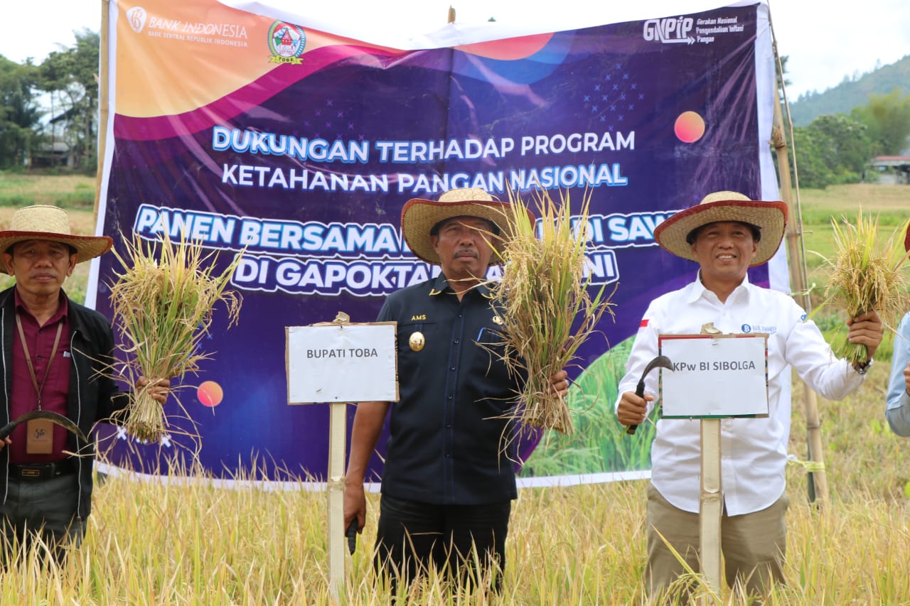 Wakil Bupati Toba Ajak Kaum Muda Giat Bertani, Pemkab dan BI Panen Padi Gamagora