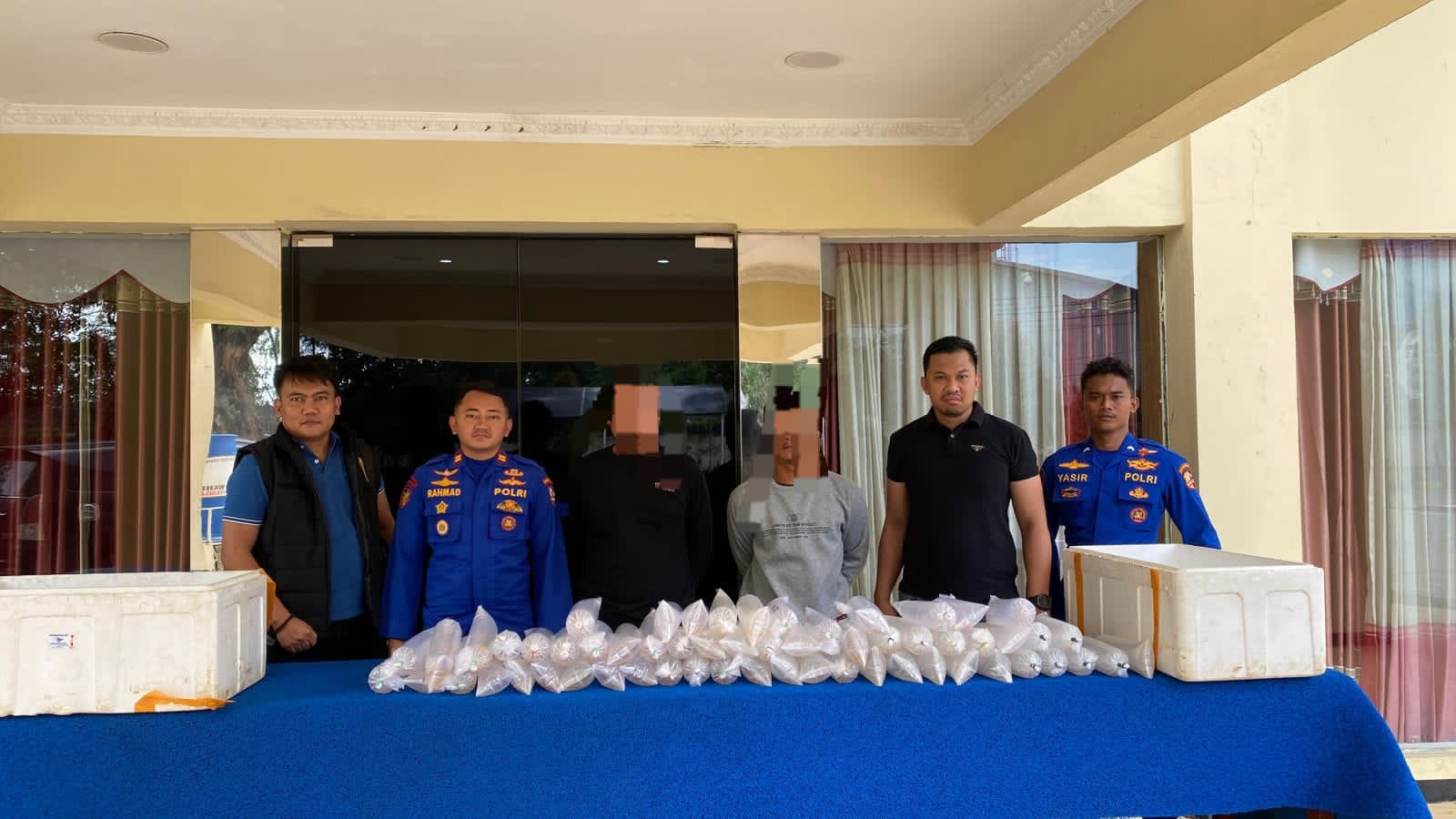 Polairud Baharkam Polri Gagalkan Penyelundupan 11.543 Benih Lobster di Sukabumi