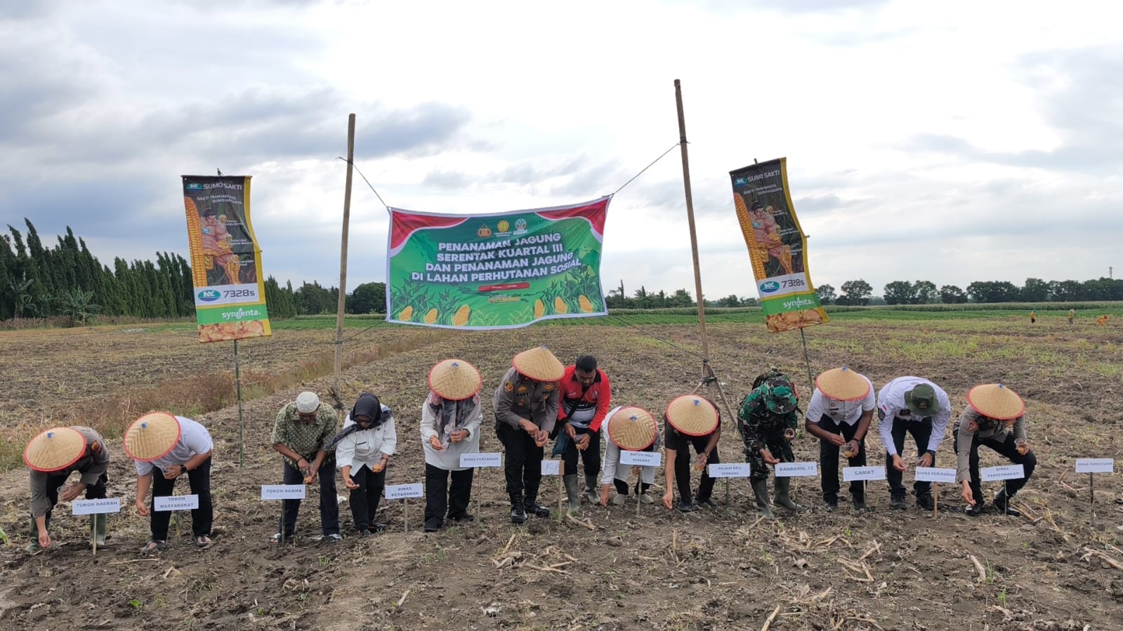Polres Belawan Galakkan Ketahanan Pangan Lewat Penanaman Jagung di Hamparan Perak