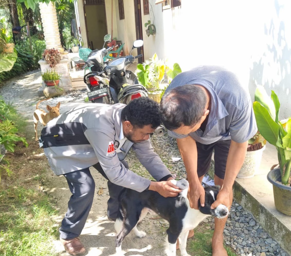 Pemkab Sergai Gencarkan Vaksinasi Hewan Tekan Penyakit Menular Strategis