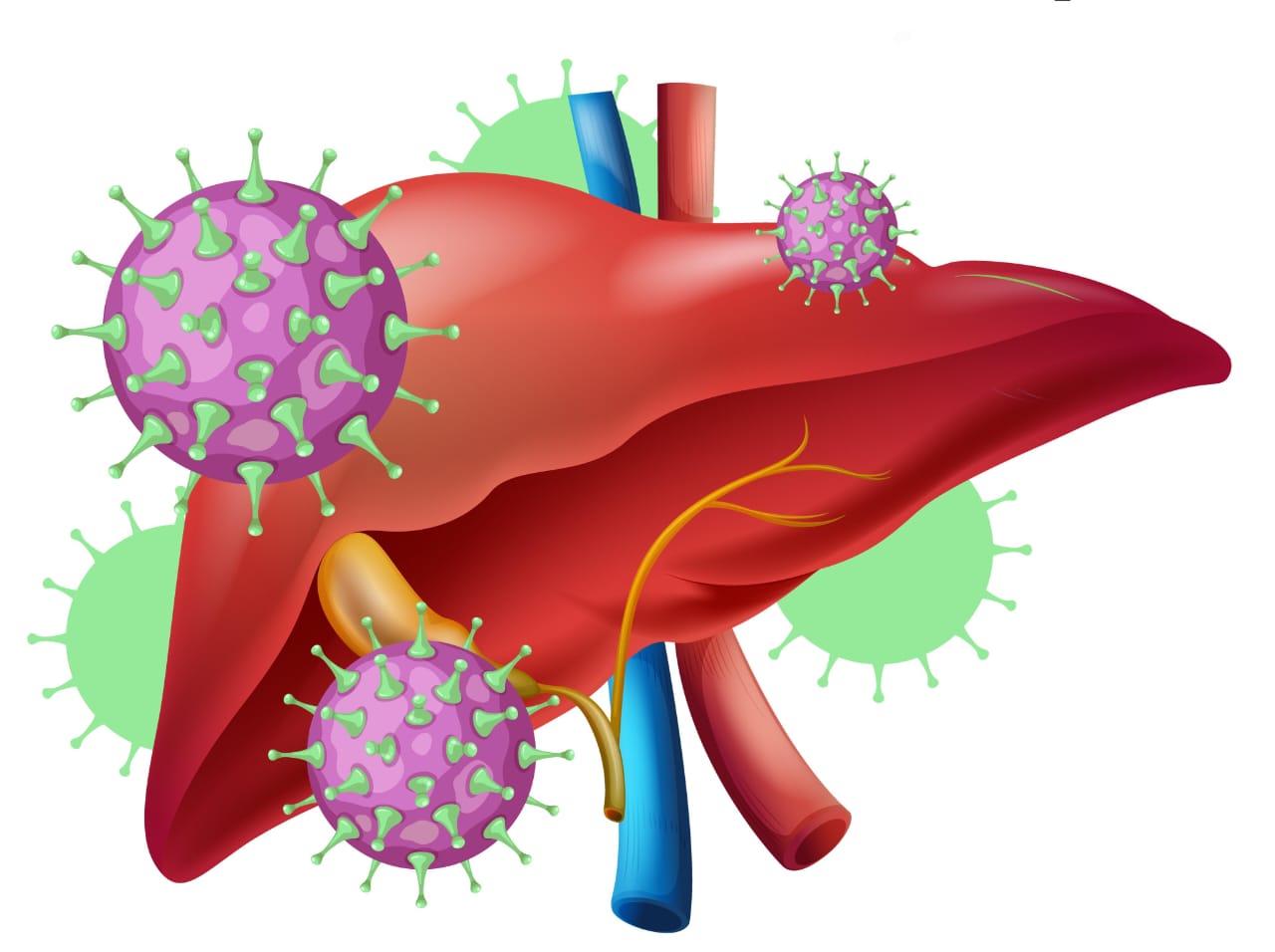 HHS 2025: Indonesia Perkuat Komitmen Eliminasi Hepatitis B dan C pada 2030