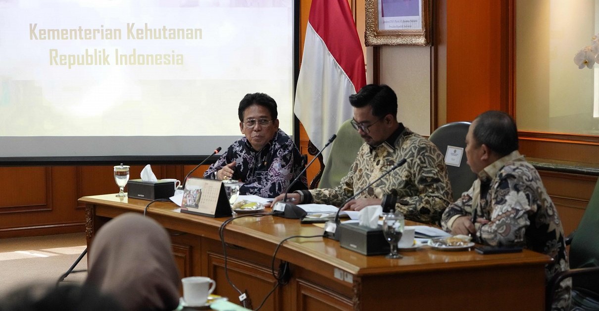 KPK Dorong Percepatan Perbaikan Tata Kelola Kehutanan untuk Cegah Korupsi SDA