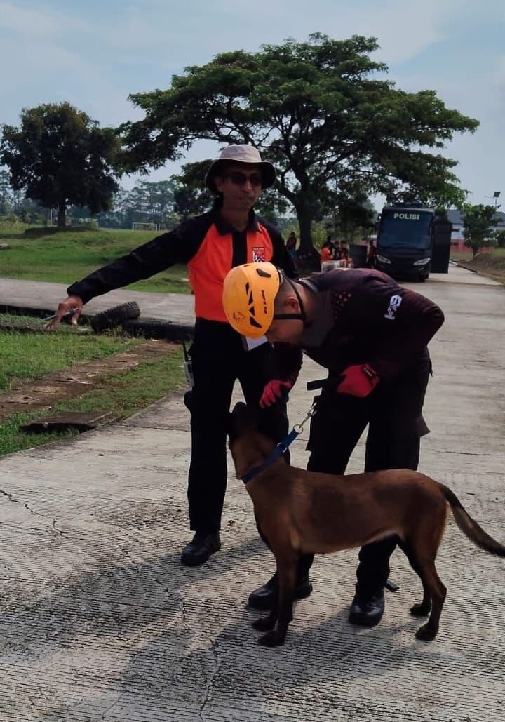 Dirpolsatwa Baharkam Polri Asah Kemampuan K9 dalam Latihan Parsial USAR di Jonggol