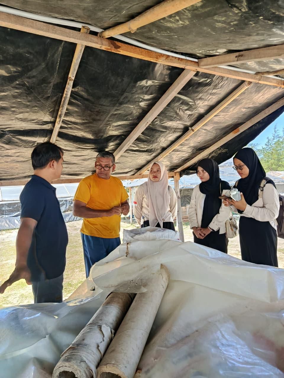 Panen Perdana Garam Aceh, PLN Hadirkan Energi untuk UMKM