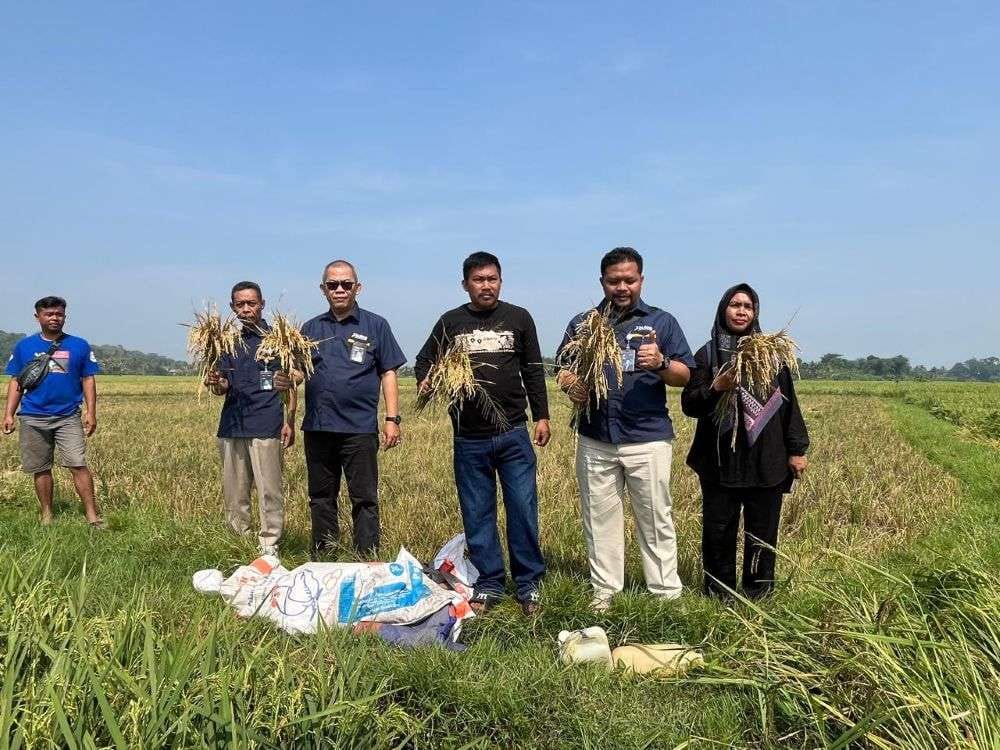 Dukung Program KDMP dan MBG, BULOG Komit Serap Gabah Petani Sesuai Arahan Pemerintah