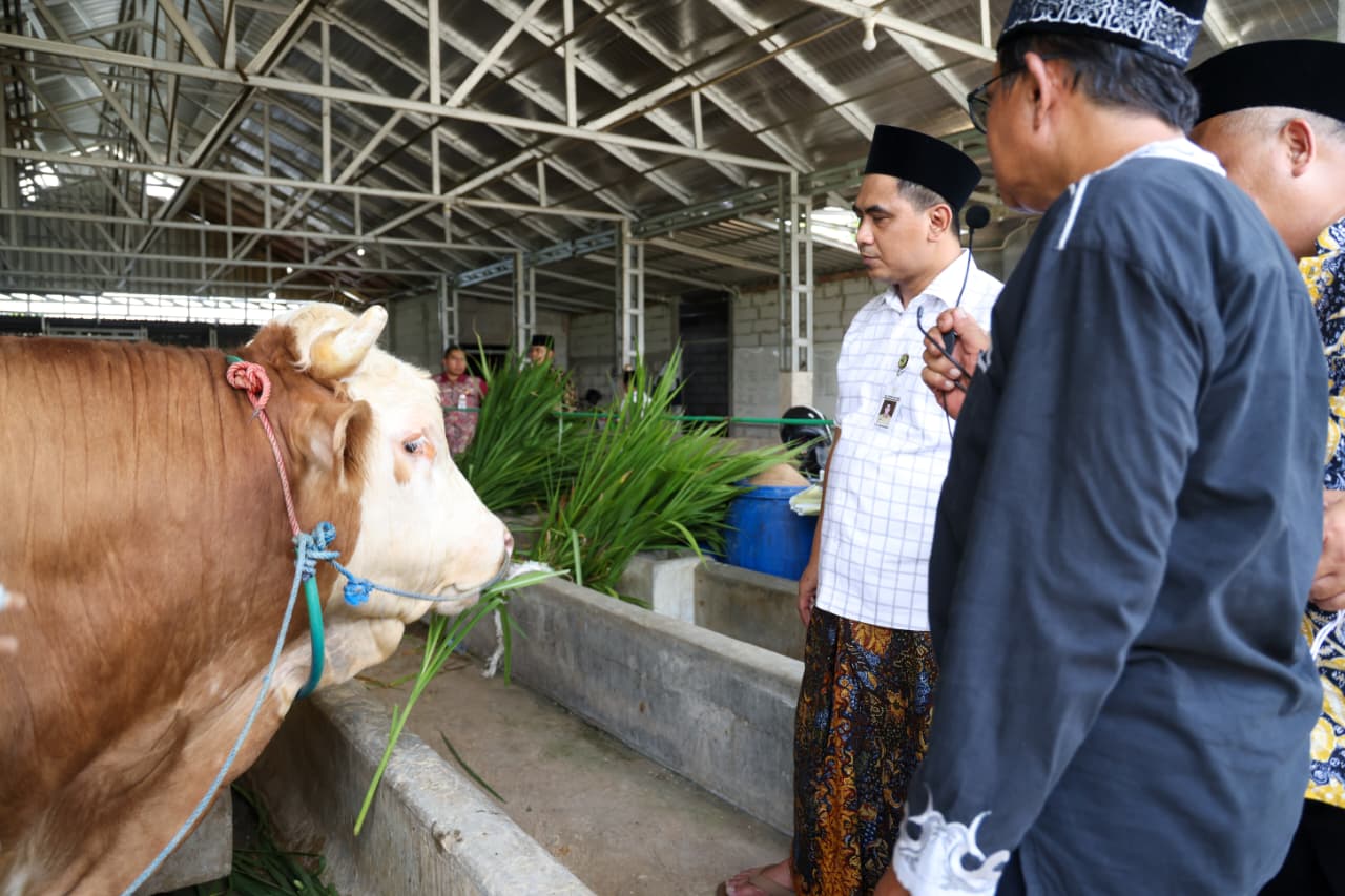 Dorong Pertumbuhan Produk Halal, RPH Halal MAJT MAS Diresmikan di Jateng