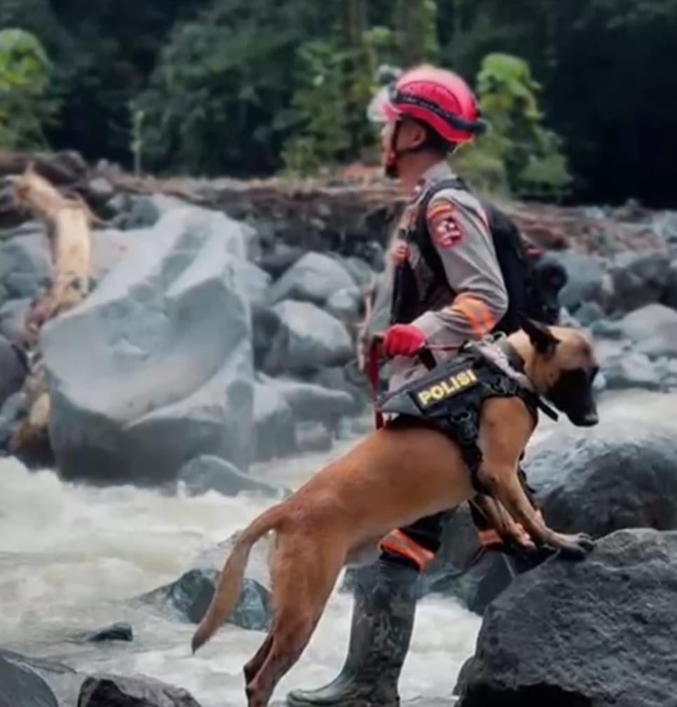 Momen Mengharukan Petugas SAR dan Anjing Pelacak K-9 di Tengah Operasi Penyelamatan