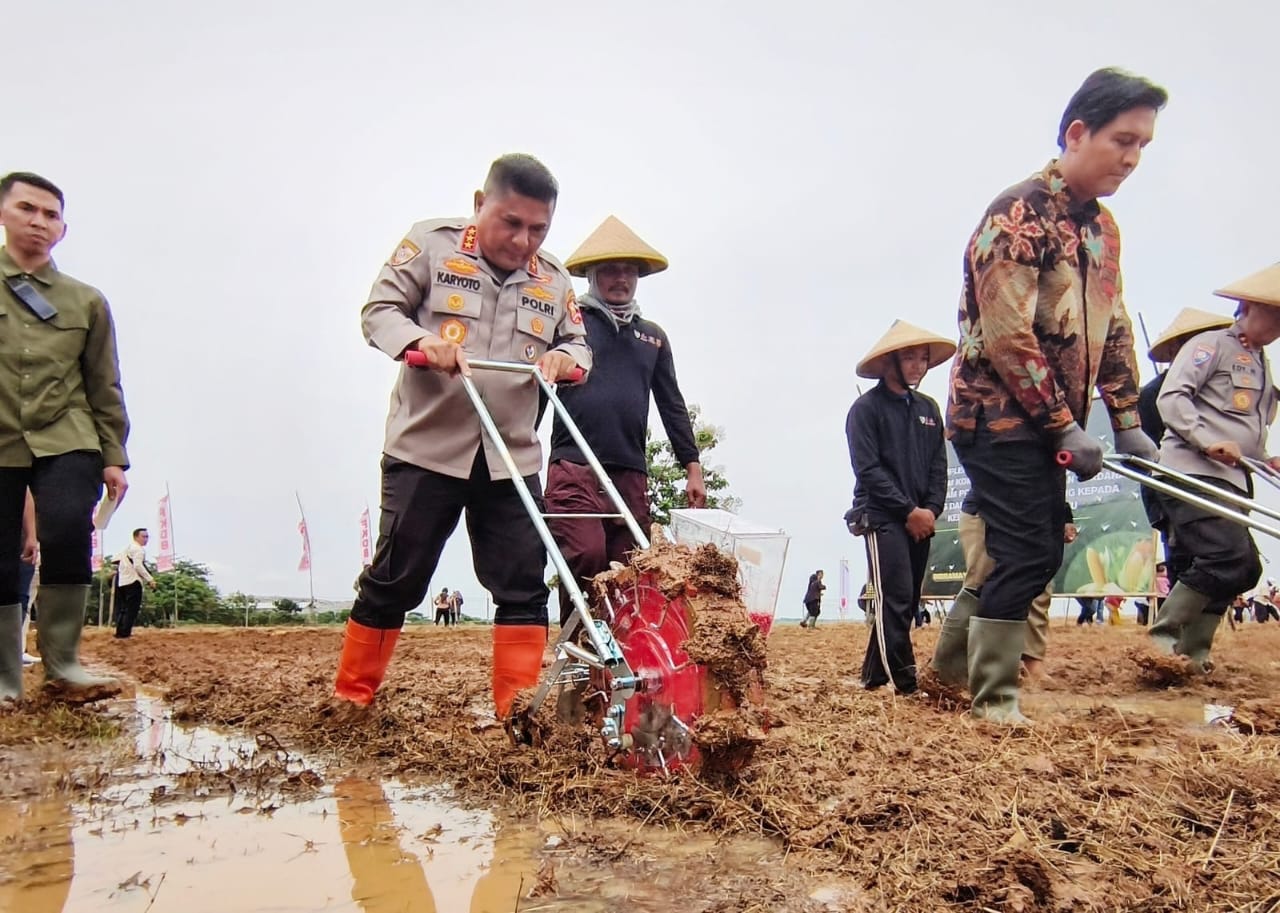 Ketahanan Pangan Diperkuat lewat Kolaborasi Tanam Jagung 150 Hektare di Indramayu