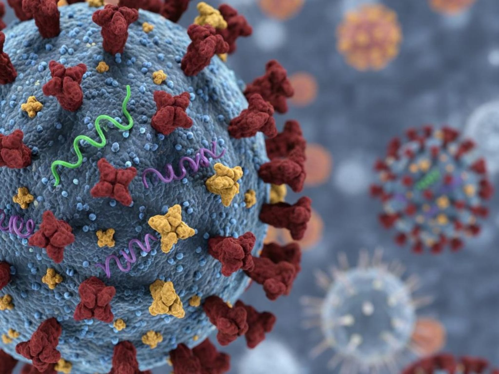 Kemenkes Tegaskan Influenza A(H3N2) Subclade K di Indonesia Masih Terkendali
