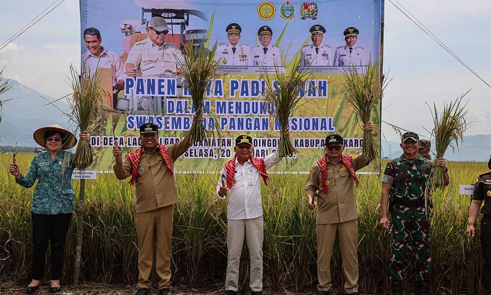 Wagub Surya Tegaskan Dukungan Pemerintah pada Petani saat Panen Raya Padi di Karo
