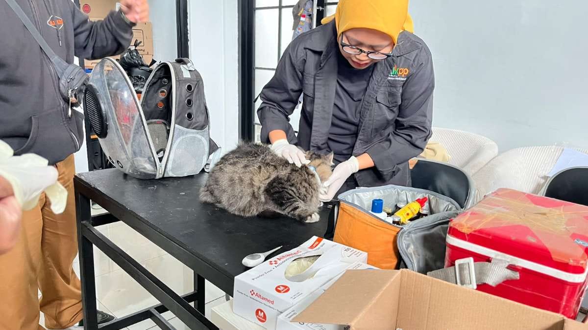 Kewaspadaan Zoonosis Diperketat, Pemkot Bandung Ingatkan Warga Ciumbuleuit
