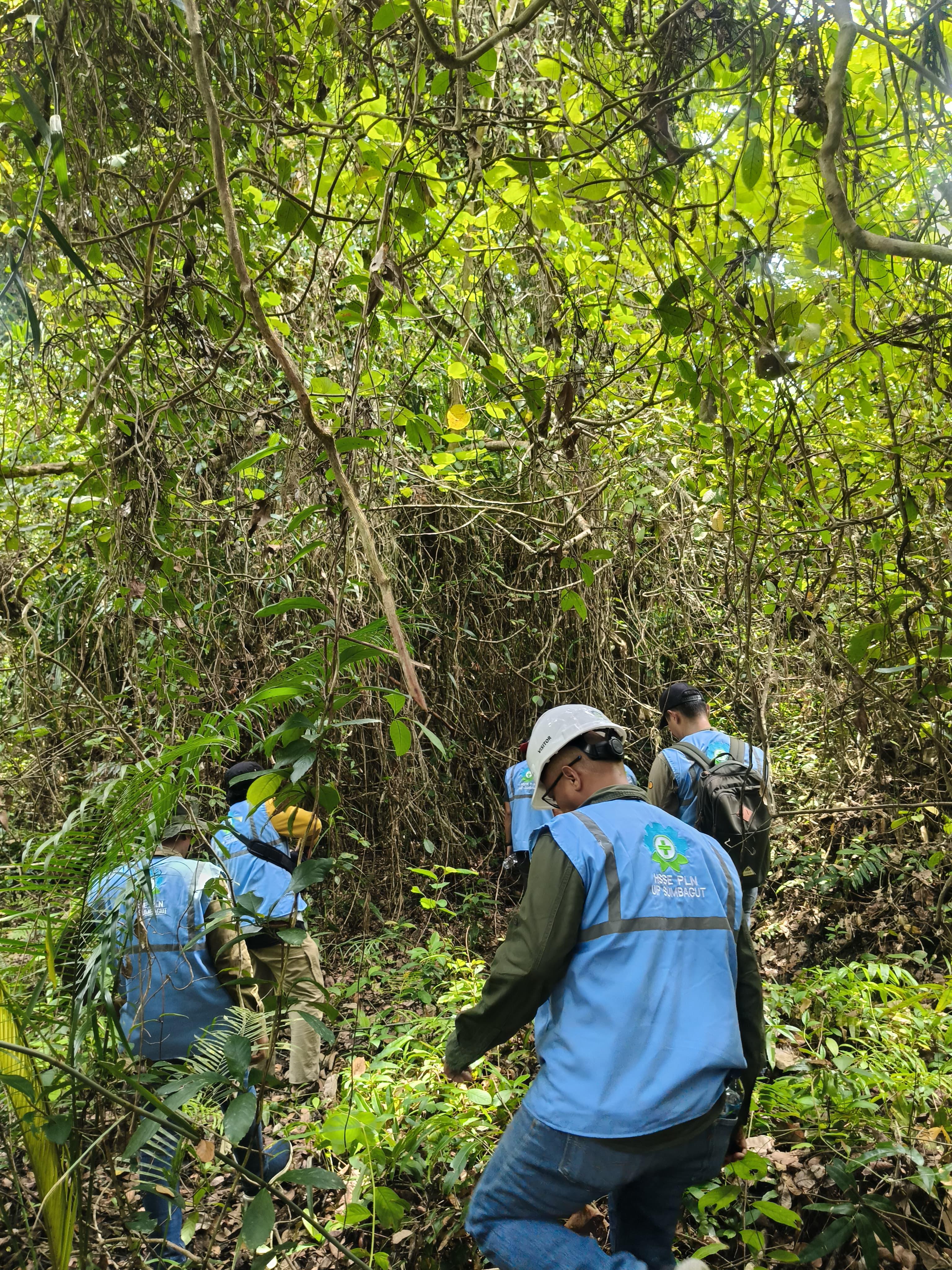 PLN Bersama Balai Besar Taman Nasional Gunung Leuser Dorong Pembangunan Transmisi Berkelanjutan